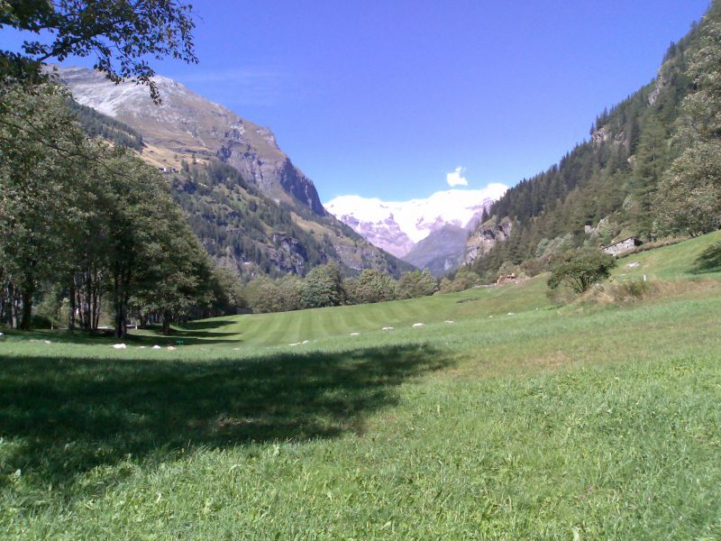 photo 14 Location entre particuliers Gressoney Saint Jean appartement Val-d'Aoste Aoste (province d') Jardin