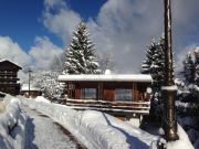 Locations maisons vacances Courchevel: chalet n 58837