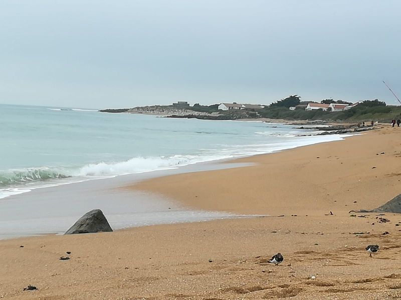 photo 15 Location entre particuliers La Cotinire maison Poitou-Charentes Charente-Maritime Plage