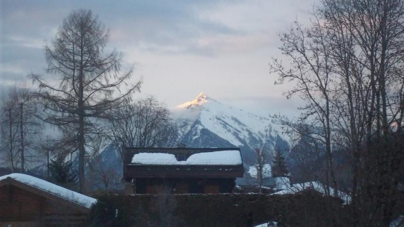 photo 6 Location entre particuliers Praz de Lys Sommand studio Rhne-Alpes Haute-Savoie Vue du balcon