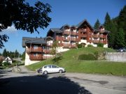 Locations station de ski Lac Lman: appartement n 59712