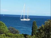 Locations vacances bord de mer Corse: appartement n 59807