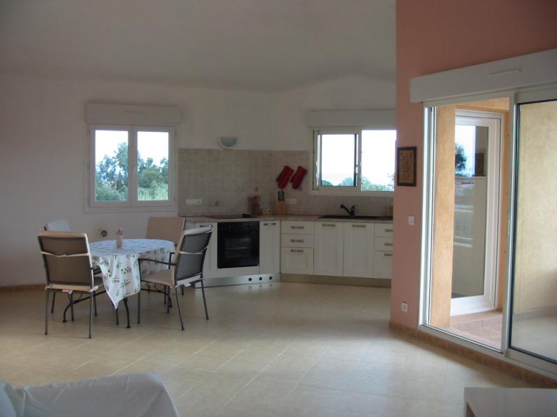 photo 1 Location entre particuliers Porto Vecchio appartement Corse Corse du Sud Cuisine amricaine