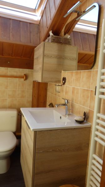 photo 11 Location entre particuliers Chtel appartement Rhne-Alpes Haute-Savoie salle de bain