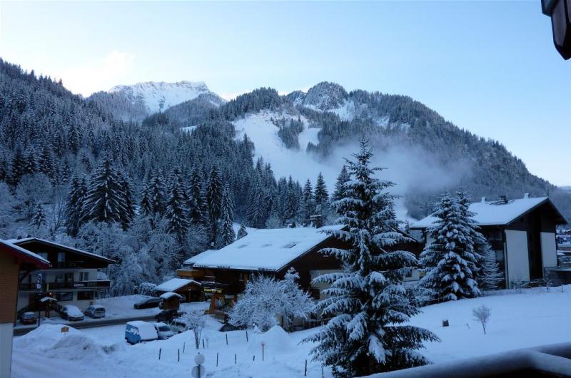 photo 4 Location entre particuliers Chtel appartement Rhne-Alpes Haute-Savoie Vue du balcon