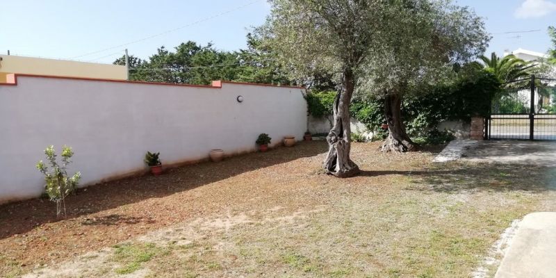 photo 23 Location entre particuliers Alghero villa Sardaigne Sassari (province de) Jardin