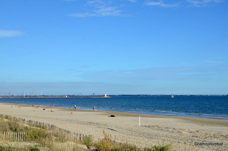 photo 14 Location entre particuliers La Grande Motte studio Languedoc-Roussillon Hrault Plage