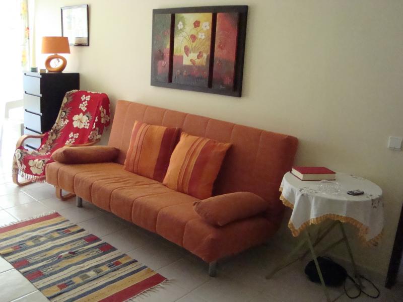 photo 7 Location entre particuliers Albufeira appartement Algarve  Salon