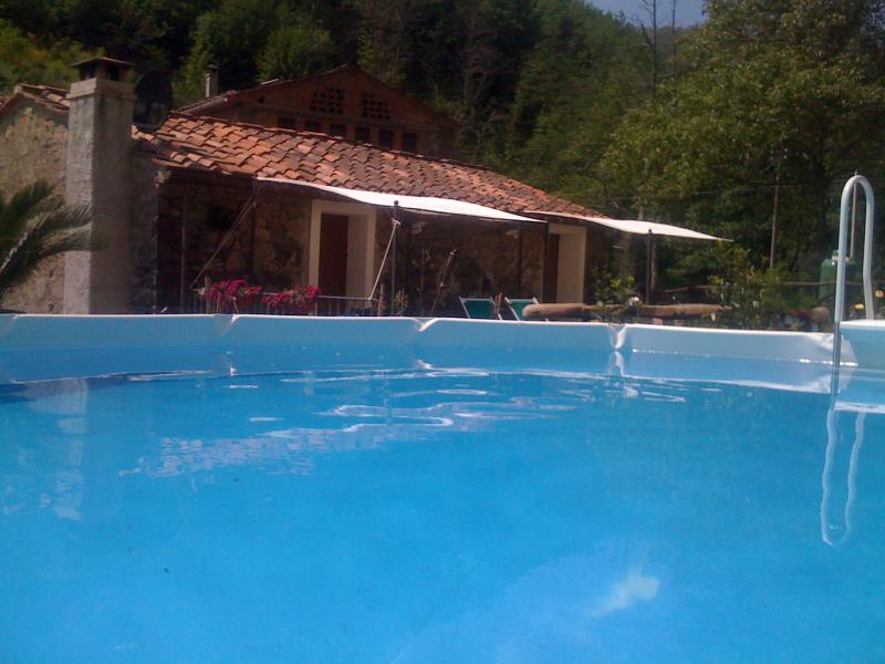 photo 4 Location entre particuliers Lucques villa Toscane Lucques (province de) Piscine