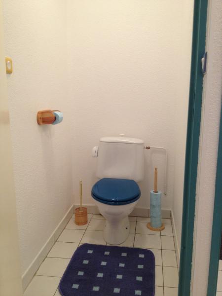 photo 3 Location entre particuliers Cap d'Agde appartement Languedoc-Roussillon Hrault WC spar