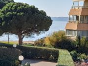 Locations vacances vue sur la mer Provence-Alpes-Cte D'Azur: appartement n 61806