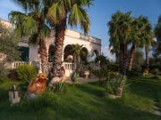 Locations vacances Santa Maria Al Bagno pour 7 personnes: appartement n 62353