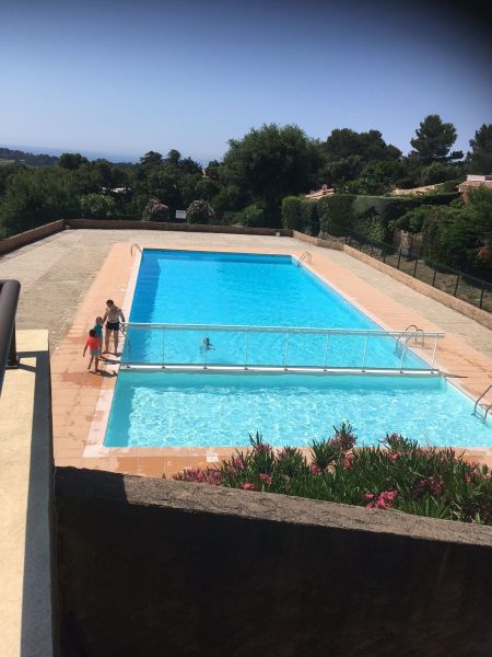 photo 17 Location entre particuliers La Croix Valmer villa Provence-Alpes-Cte d'Azur Var Piscine