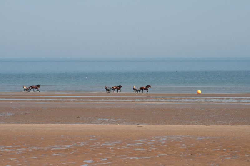 photo 14 Location entre particuliers Cabourg appartement Basse-Normandie Calvados Plage