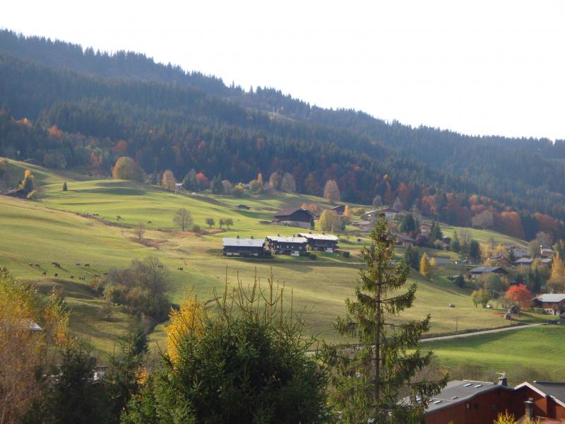 photo 6 Location entre particuliers Praz sur Arly appartement Rhne-Alpes Haute-Savoie Vue du balcon