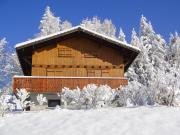 Locations vacances Haute-Savoie pour 6 personnes: chalet n 642