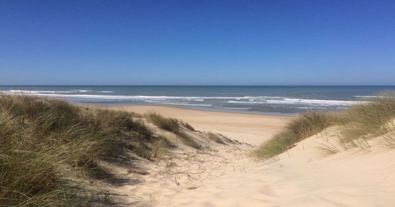 photo 21 Location entre particuliers Lacanau maison Aquitaine Gironde Plage