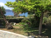Locations vacances Corse pour 2 personnes: appartement n 7815