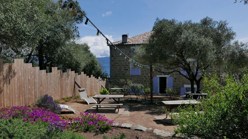 photo 8 Location entre particuliers Porto Pollo studio Corse Corse du Sud Jardin