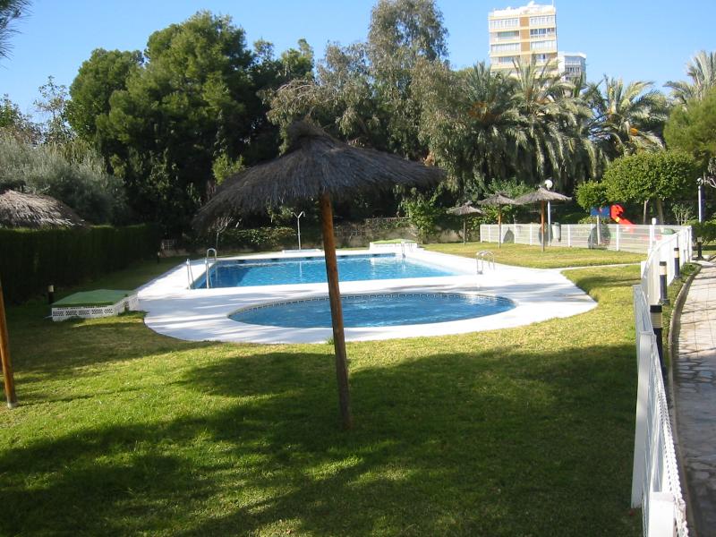 photo 6 Location entre particuliers Alicante appartement Communaut Valencienne Alicante (province de) Piscine