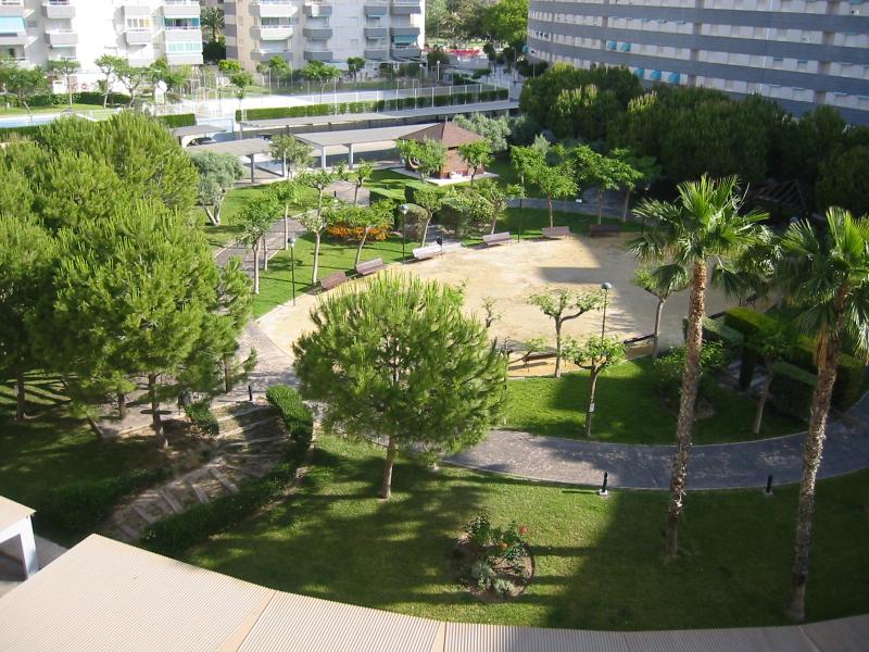 photo 10 Location entre particuliers Alicante appartement Communaut Valencienne Alicante (province de) Jardin