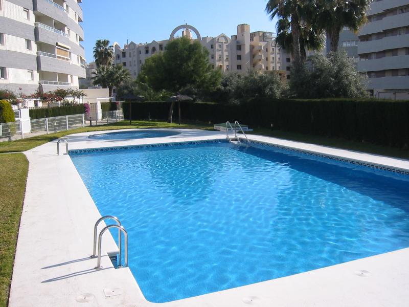 photo 12 Location entre particuliers Alicante appartement Communaut Valencienne Alicante (province de) Piscine