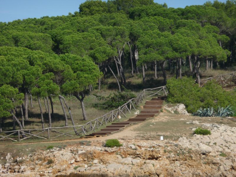 photo 21 Location entre particuliers L'Escala maison Catalogne Grone (province de) Plage