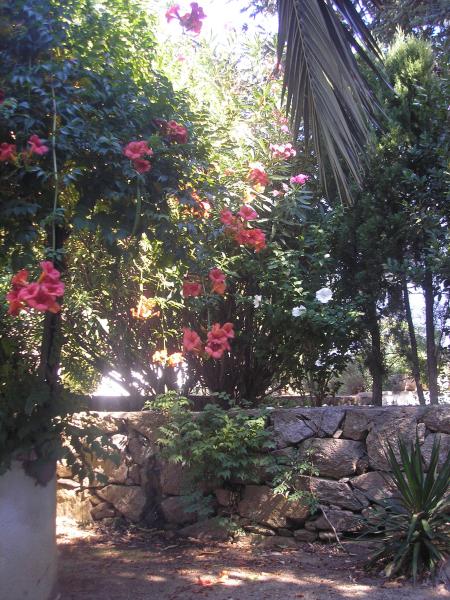 photo 13 Location entre particuliers Rosas appartement Catalogne Grone (province de) Jardin