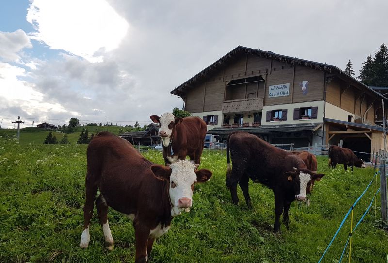 photo 29 Location entre particuliers La Clusaz appartement Rhne-Alpes Haute-Savoie