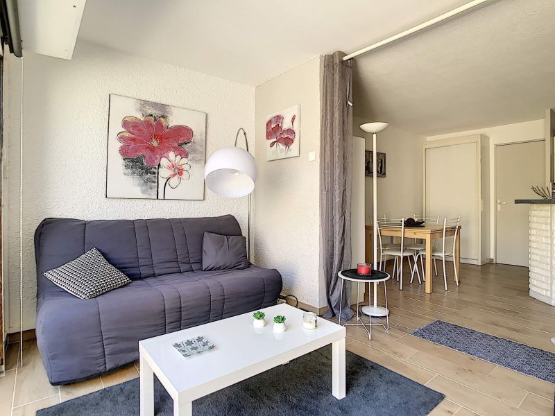 photo 3 Location entre particuliers Saint Cyprien appartement Languedoc-Roussillon Pyrnes-Orientales Salon