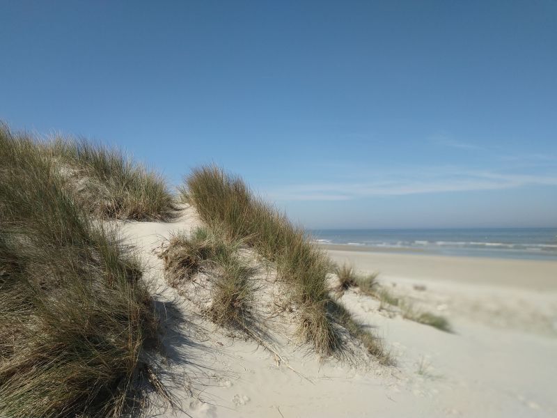 photo 7 Location entre particuliers Bray-Dunes studio Nord-Pas de Calais Nord