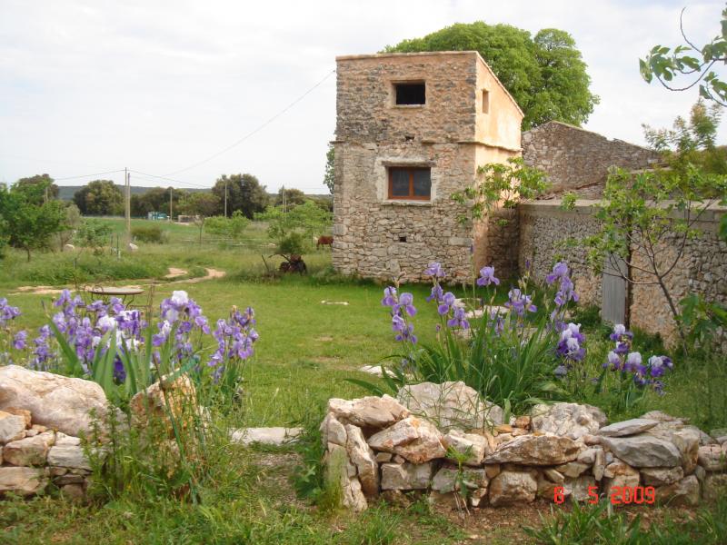 photo 4 Location entre particuliers Montpellier insolite Languedoc-Roussillon Hrault Vue depuis la location