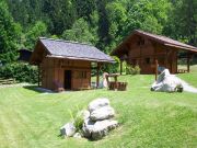 Locations chalets vacances France: chalet n 923