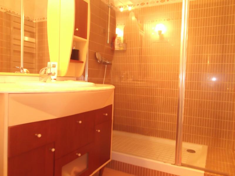 photo 17 Location entre particuliers Hendaye appartement Aquitaine Pyrnes-Atlantiques salle de bain