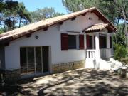 Locations maisons vacances Cap Ferret: villa n 9378