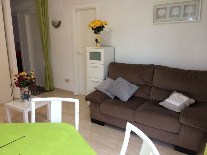 photo 3 Location entre particuliers Dnia appartement Communaut Valencienne Alicante (province de) Salon 2