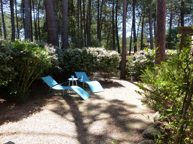 photo 19 Location entre particuliers Lecci appartement Corse Corse du Sud Jardin