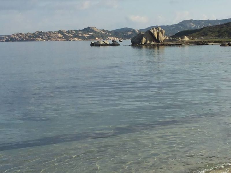 photo 19 Location entre particuliers Santa Teresa di Gallura maison Sardaigne Olbia Tempio (province de) Plage