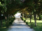 Locations vacances Quercy pour 5 personnes: gite n 122055