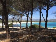 Locations vacances Olbia Tempio (Province De) pour 3 personnes: appartement n 124649