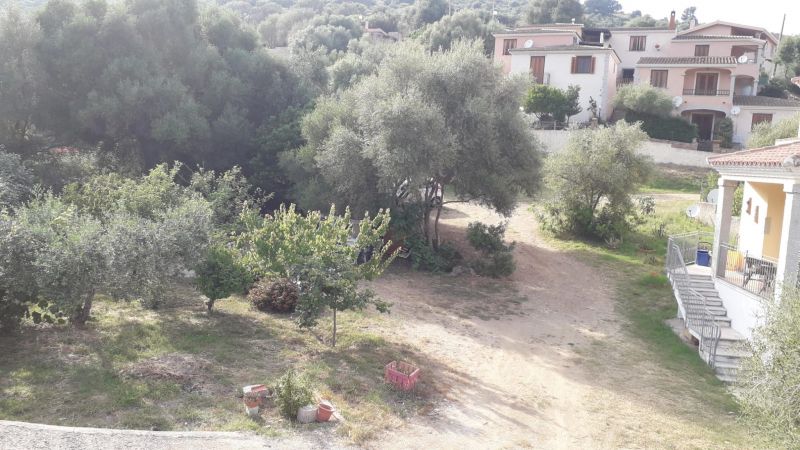 photo 18 Location entre particuliers Budoni appartement Sardaigne Olbia Tempio (province de) Cour