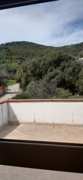 photo 17 Location entre particuliers Budoni appartement Sardaigne Olbia Tempio (province de) Terrasse