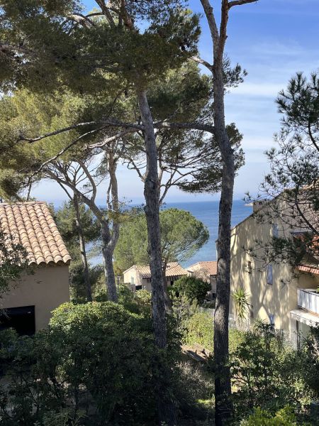 photo 13 Location entre particuliers Sanary-sur-Mer appartement Provence-Alpes-Cte d'Azur Var Vue depuis la location