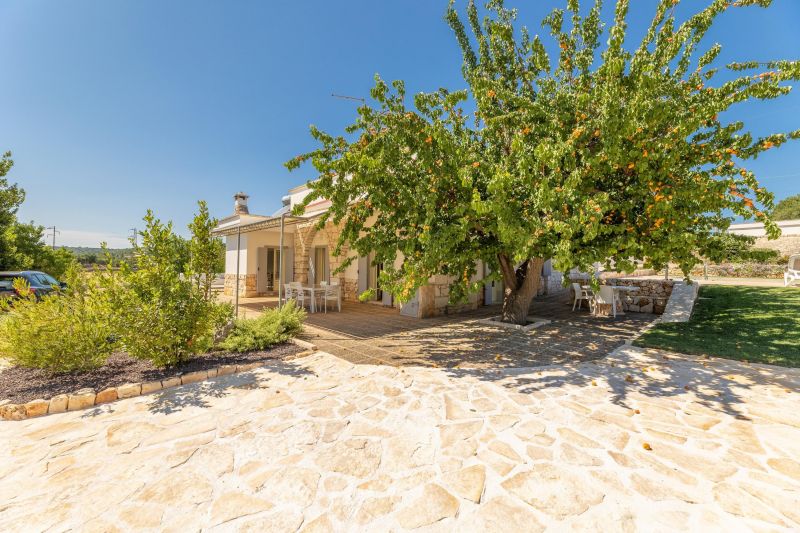 photo 4 Location entre particuliers Ostuni villa Pouilles