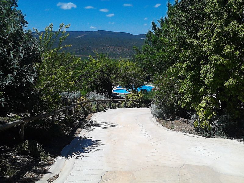 photo 14 Location entre particuliers Loul gite Algarve  Jardin