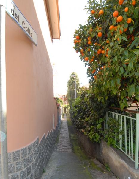 photo 7 Location entre particuliers Taggia appartement Ligurie Imperia (province d') Vue  proximit