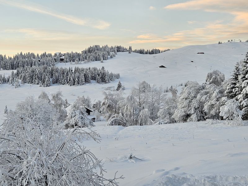 photo 10 Location entre particuliers Les Saisies studio Rhne-Alpes  Balcon