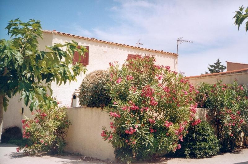 photo 0 Location entre particuliers Le Barcares maison Languedoc-Roussillon Pyrnes-Orientales Vue extrieure de la location