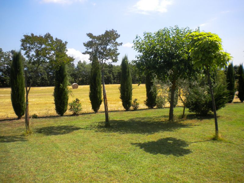 photo 15 Location entre particuliers Cortona maison Toscane Arezzo (province d') Jardin