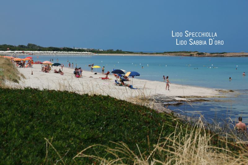 photo 17 Location entre particuliers Ostuni appartement Pouilles Brindisi (province de) Plage